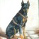Chien de Georges - Octobre 1998 - Huile sur toile