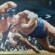 Sumo - Janvier 2022 - Huile sur toile - 60x90